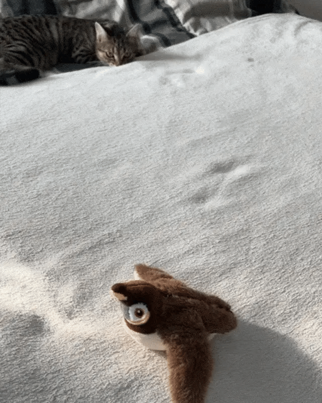 FURRSENTIAL™ FlappyMate