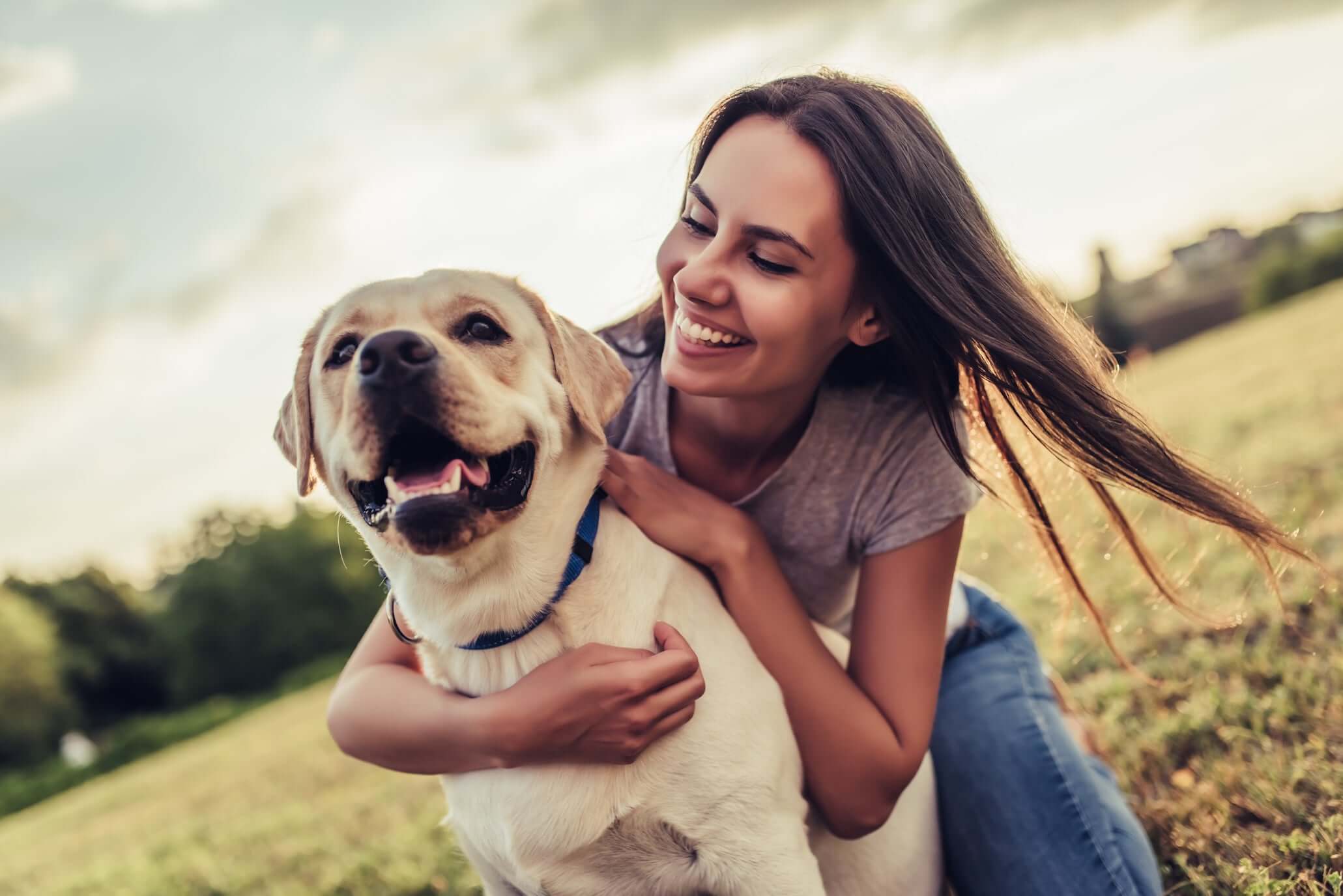 files/Dog-owners-are-happier-than-cat-owners-survey-shows.jpg